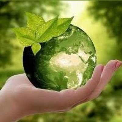 walpic_65's profile picture. 🌄⛰️🌅 follow back me💯💯💞💞👍🗻🏞️💐💐🥀🌴🌴