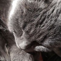 ᴛʀᴇᴠᴏʀ ꜱᴛᴀᴄᴋ (@nemo16mr) 's Twitter Profile