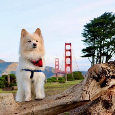 rods123456789's profile picture. 