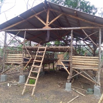 AbdRatib's profile picture. humoris