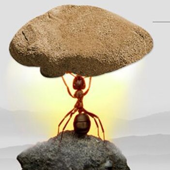 BryanDH20's profile picture. Plastic injection mold & CNC machining service