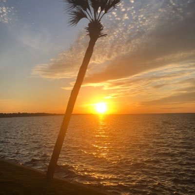 Bhamtigerfan's profile picture. 