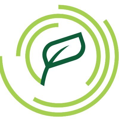 Packtin is a company based on circular economy and it was born as a spin-off of the University of Modena and Reggio Emilia.