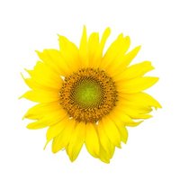 Hertslifeskills (@hertslifeskills) 's Twitter Profile Photo