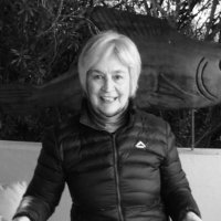 susan scott (@susanscottsa) 's Twitter Profile