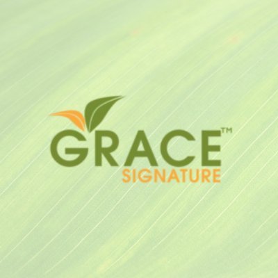 Grace Signature provides a healthy lifestyle through quality #organic food products, organic beverages, and immunity #health supplements. 🌱
https://t.co/fsurtiMUg3