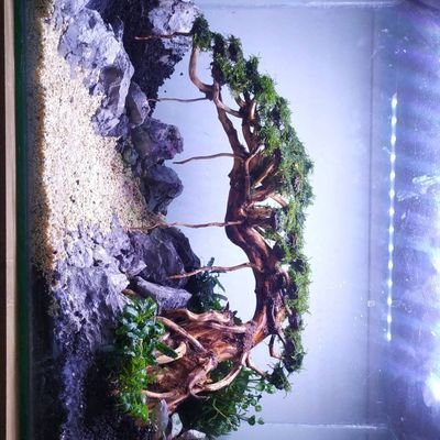 bokssss99's profile picture. Go to Likes for some fun