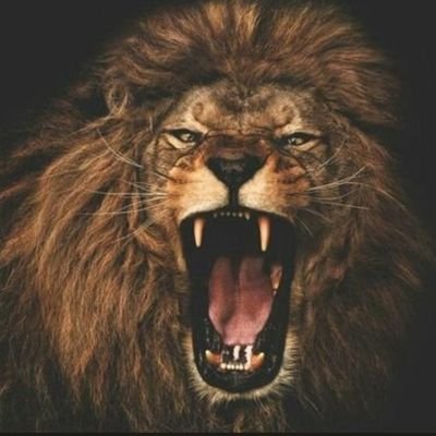 DBiserah's profile picture. An artist, barista,mixologist. ......