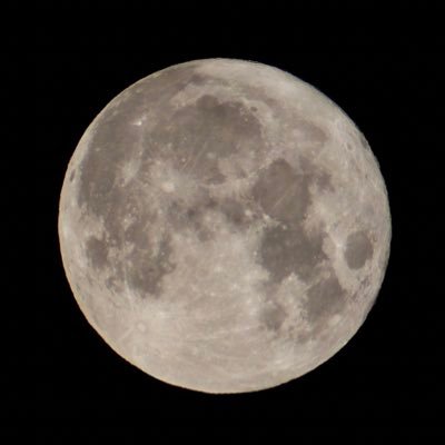 KokuuSeimei's profile picture. 