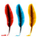 Writersalon is a non-profit online literary arts magazine providing an artistic forum for poets, fiction writers, literary critics, and photographers.