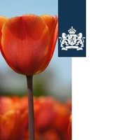 NLinTsjaad (@nlintsjaad) 's Twitter Profile Photo