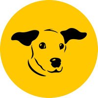 Dogs Trust Shoreham(@DT_Shoreham) 's Twitter Profile Photo
