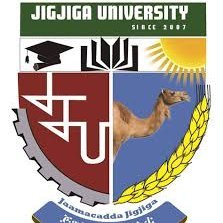 Hosting the 14th Somali Studies International Congress in April 2021 at Jigjiga, Somali Regional State, Ethiopia. #Excellence #Research #Education