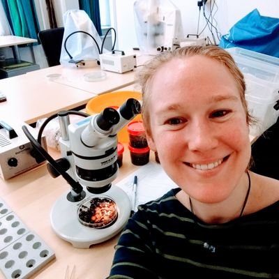 @NWO_SSH PhD-candidate @univgroningen in archaeobotany and culinary history. Studying ancient poo, culinary texts & historic shopping lists. What's not to love?