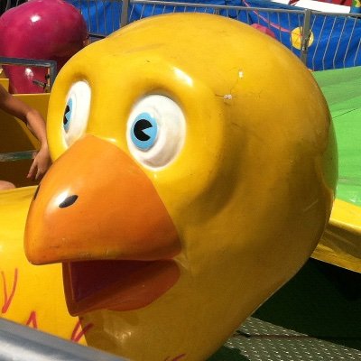 bjc1126's profile picture. 