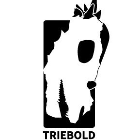 At Triebold Paleontology, Inc., we have been supplying the world's museums with fossils and casts since 1989.