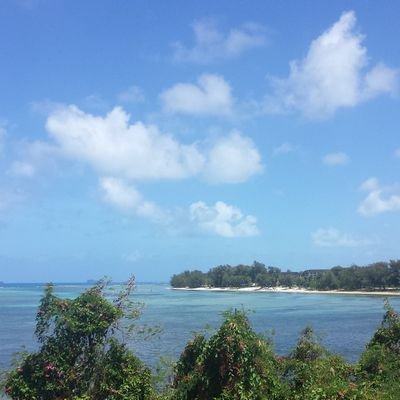 Justko_Ras's profile picture. Don't mind me.

Laker Nation

https://t.co/Ml3DDe9UHX