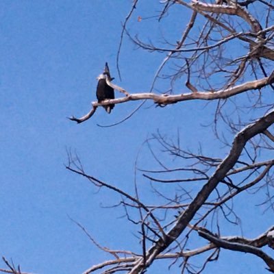 xplor8shun's profile picture. Human. Earthling. American. Queer. 🌎🌍🌏🇺🇸🏳️‍🌈 Exploring ideas and beliefs. Fan of life, liberty, and the pursuit of happiness. Might tell a joke or two.