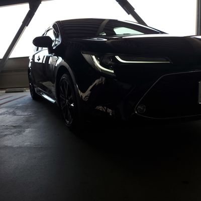 daikibaka0111's profile picture. 