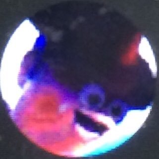 Miles Wilkinson - Twitter Profile Picture of Miles Wilkinson (@MilesWilkinso17) on Twitter