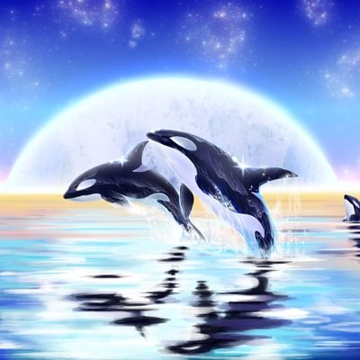 こっちゃんさんのプロフィール画像