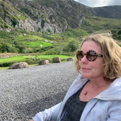 osullivansara's profile picture. Sociology lecturer at UCD. You'll find me @osullivansara.bsky.social