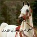 محمد 😊💓 (@abohamed54) Twitter profile photo محمد 😊💓 (@abohamed54) Twitter profile photo
