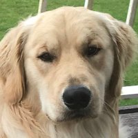Dan (@theowdan) 's Twitter Profile