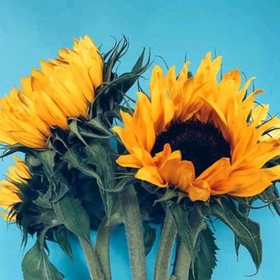 KarlMar07's profile picture. Am humble and God fearing