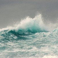 The Young Cape (@theyoungcape) 's Twitter Profile