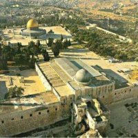 زاهر صباح (@koys9ftdjk14yu9) Twitter profile photo