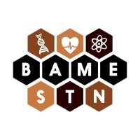 BAME Scientist Trainee Network (@bame_stn) 's Twitter Profile