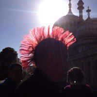 Dorset Copperfish(@TedEdley) 's Twitter Profile Photo