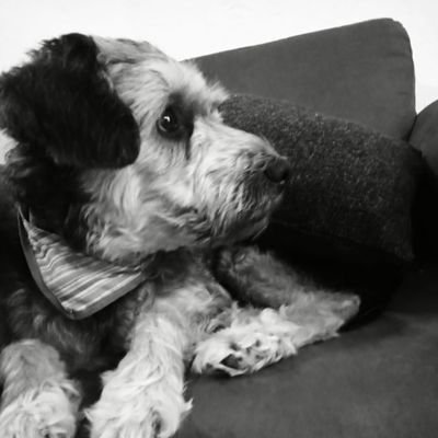 israhop's profile picture. 