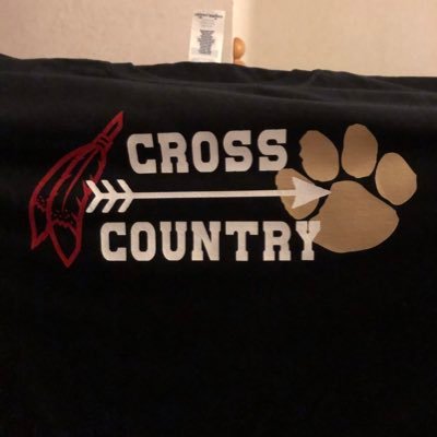 Official account of the Bremen (Midlothian, Il) Boys XC & Track Distance Runners