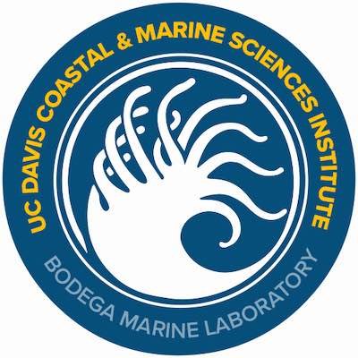 The Bodega Marine Laboratory is part of @ucdavis @ucd_cmsi. We nurture marine stewardship through research, education & engagement.