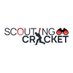 Scouting Cricket (@ScoutingCricket) Twitter profile photo