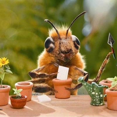 OzgurTrader's profile picture. Investing for future