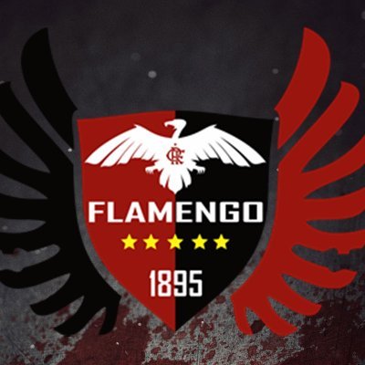 Siga as principais notícias do @Flamengo Tua Glória É Lutar! 🔴⚫️