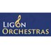 Ligon Orchestras (@ligonorchestras) Twitter profile photo Ligon Orchestras (@ligonorchestras) Twitter profile photo