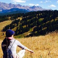 Ann Phi-Wendt (@aphi) 's Twitter Profile