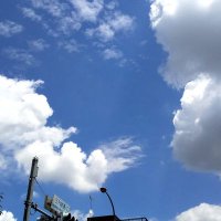 もつ煮〆鯖 (@09335aa5deef49c) 's Twitter Profile