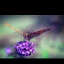 Janet Grubbs - @janetcknight - Twitter