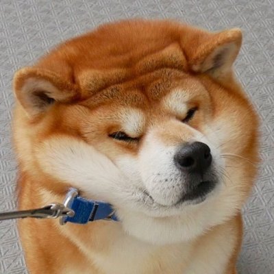 Drake Xahuさんのプロフィール画像