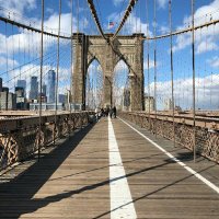 Sergio David (@sergiod88239449) 's Twitter Profile