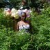 Growing with Natalie (@cannabisnatalie) Twitter profile photo Growing with Natalie (@cannabisnatalie) Twitter profile photo