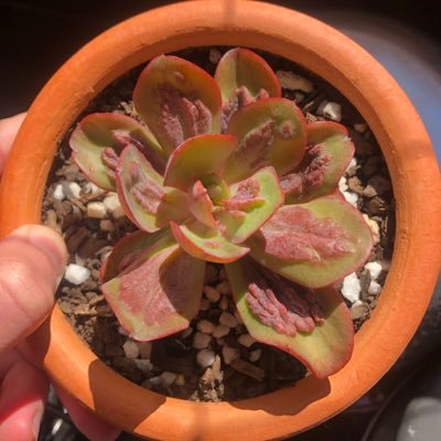 danielbumps's profile picture. 