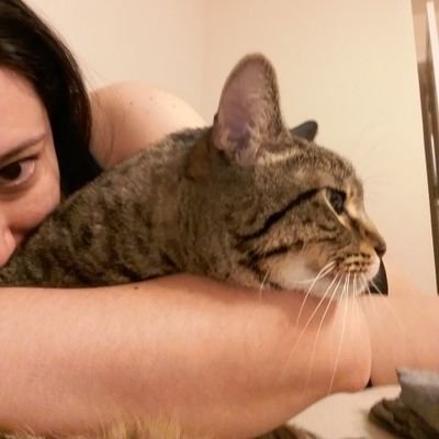 Employee of Aleister and Trixie *
I follow cats who swear *
Bernice RIP 03/2020