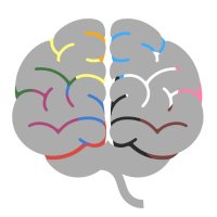 Queer in Neuro (@queerinneuro) 's Twitter Profile