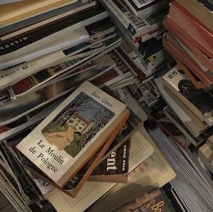 trashmo85626976's profile picture. 